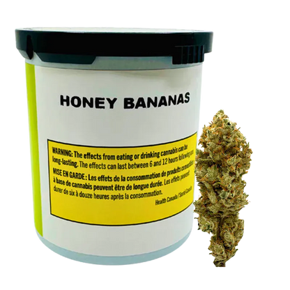 Front-angle view of a white container labeled Honey Bananas with a black lid and a cannabis bud positioned to its right.