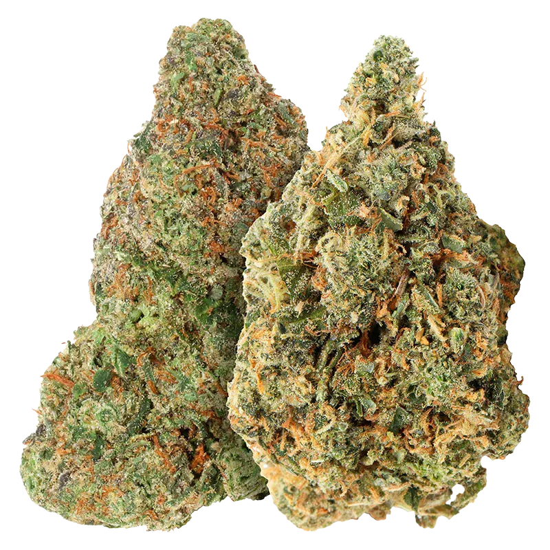 Close-up front view of two dense, frosty buds of Bubblegum Marker & Red Bullz showing green and orange trichome-covered textures.