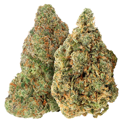 Close-up front view of two dense, frosty buds of Bubblegum Marker & Red Bullz showing green and orange trichome-covered textures.