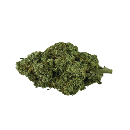 Close-up of a single green bud of Organic Mango Hashplant shown from the side on a white background.