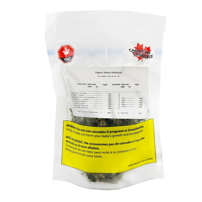 Front-facing shot of the Organic Mango Hashplant pouch with visible THC and Canadian Cannabis logos and a yellow warning label.