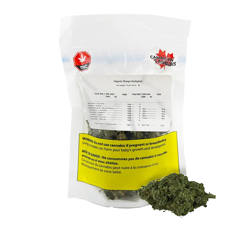 Front-facing pouch of Organic Mango Hashplant showing a clear resealable bag with a yellow warning label and loose bud beside it.
