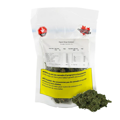 Front-facing pouch of Organic Mango Hashplant showing a clear resealable bag with a yellow warning label and loose bud beside it.
