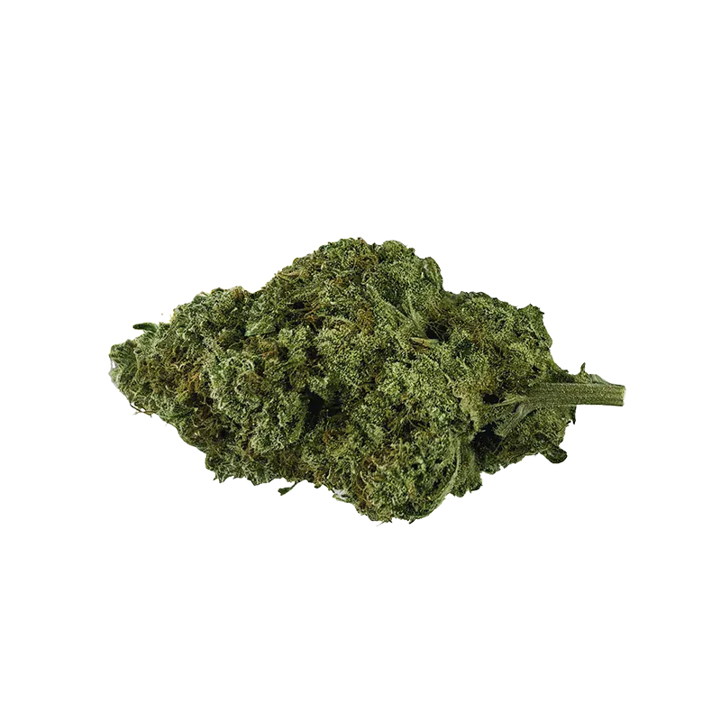 Single top-down view of a dense green bud of Organic Mango Hashplant against a white background.