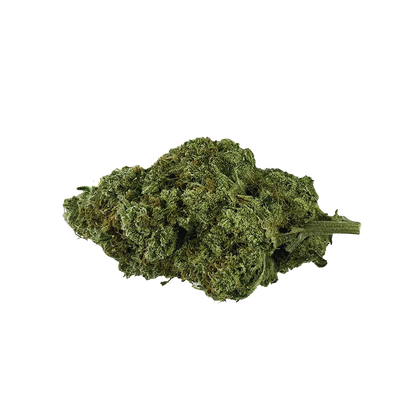 Single top-down view of a dense green bud of Organic Mango Hashplant against a white background.