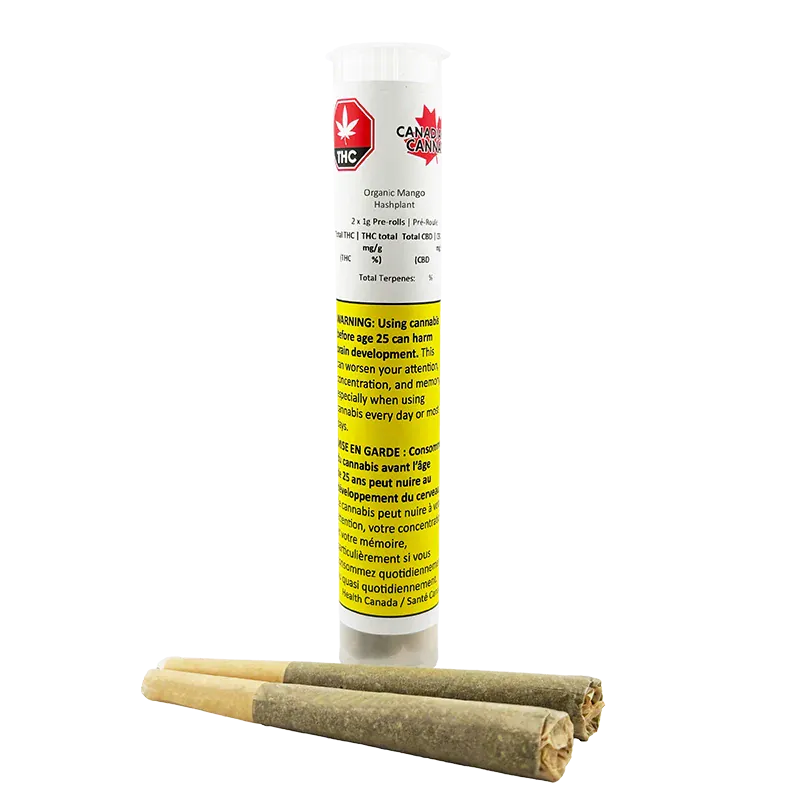 Front-facing shot of a clear tube labeled "Organic Mango Hashplant PR 2 x 1 g" standing upright behind two rolled pre-rolls on a white background