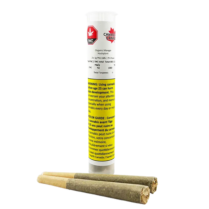 Front-facing shot of a clear tube labeled "Organic Mango Hashplant PR 2 x 1 g" standing upright behind two rolled pre-rolls on a white background
