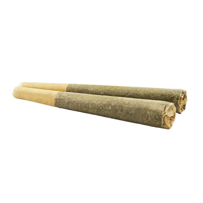Angled close-up of two rolled Organic Mango Hashplant PR 2 x 1 g pre-rolls lying side by side on a white background