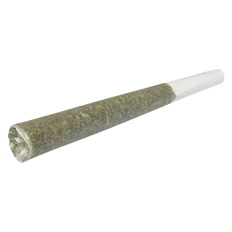 1Spliff 10 g Hawaiian Snowcone PR 10 x 1 g Pre-Rolls