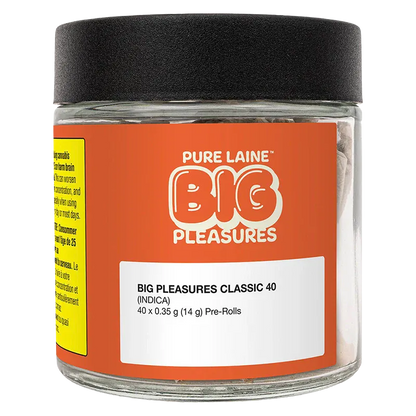 Front-facing jar shot of Big Pleasures Classic PR 40 x 0.35 g with an orange label, black lid, and white product info panel.