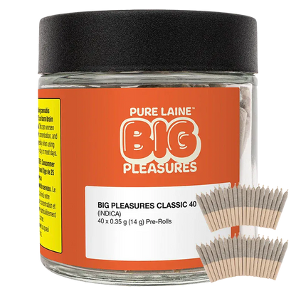 Close-up front view of the glass jar labeled "Big Pleasures Classic PR 40 x 0.35 g" with an orange label, black lid, and two fan arrangements of pre-rolls at the lower right.