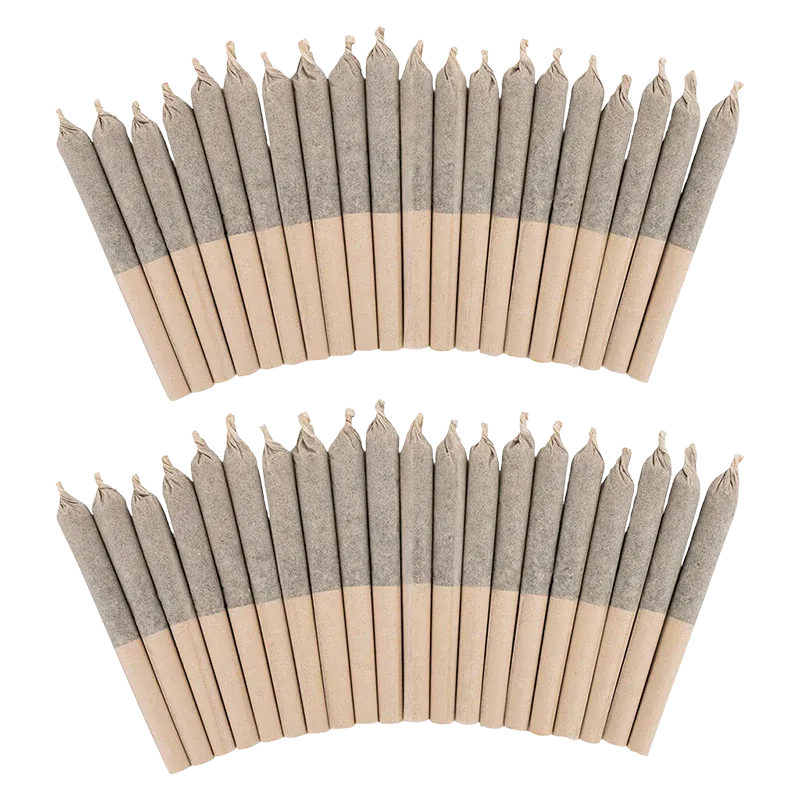 Top-down view of two fan-shaped rows of beige and gray Big Pleasures Classic PR 40 x 0.35 g prerolled cones on a white background