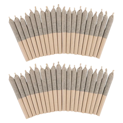 Top-down view of two fan-shaped rows of beige and gray Big Pleasures Classic PR 40 x 0.35 g prerolled cones on a white background