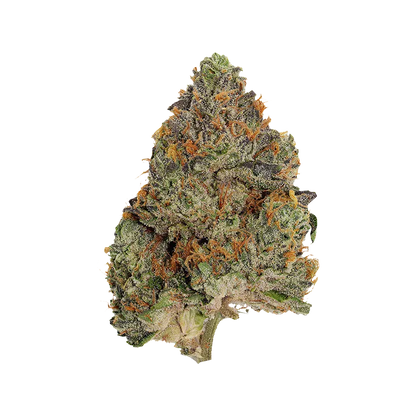 Close-up of a single frosty blue-green nugget of Blue Zushi with bright orange pistils and a white background