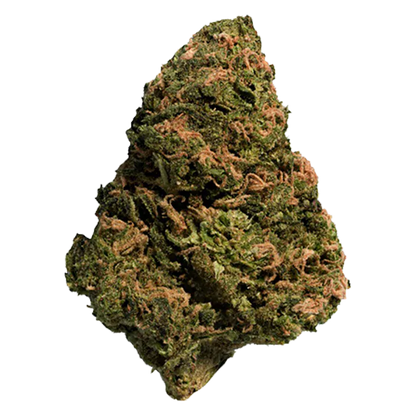 Close-up of a single BC Organic Sun Grown Bonkers cannabis bud showing dense green and orange hairs against a white background