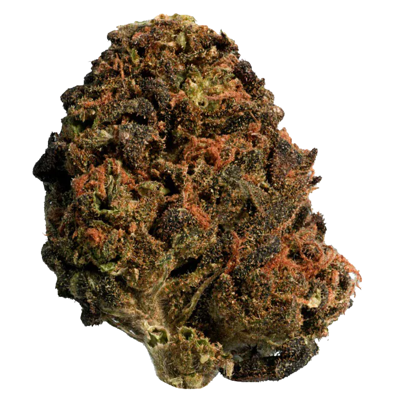 Thrifty 28 g BC Organic Sun Grown Mango Sapphire Flower