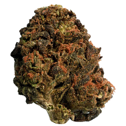 Thrifty 28 g BC Organic Sun Grown Mango Sapphire Flower