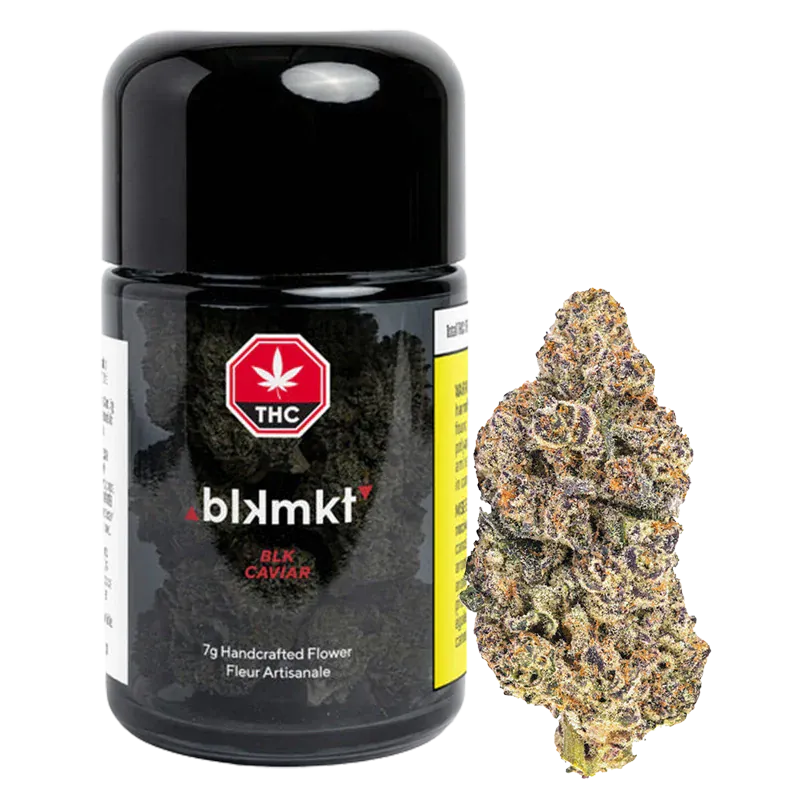 Front-facing jar and adjacent bud of Blk Caviar, the black cylindrical container with label and a single frosty purple-tinted cannabis nug beside it.
