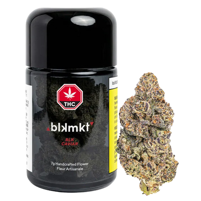 Front-facing jar and adjacent bud of Blk Caviar, the black cylindrical container with label and a single frosty purple-tinted cannabis nug beside it.