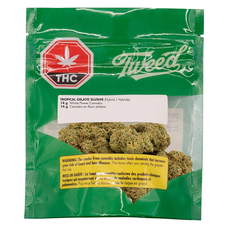 Tropical Gelato Slushie: Lowest Price | Canna Cabana