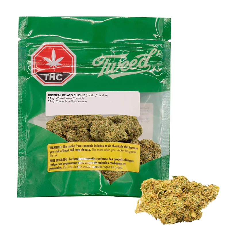 Front view of the green Tweed Tropical Gelato Slushie pouch with visible cannabis buds through a clear window and one bud placed beside it.