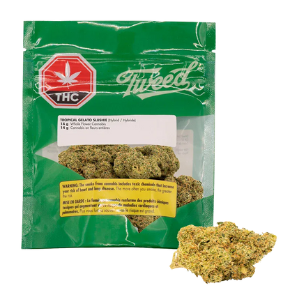 Front view of the green Tweed Tropical Gelato Slushie pouch with visible cannabis buds through a clear window and one bud placed beside it.