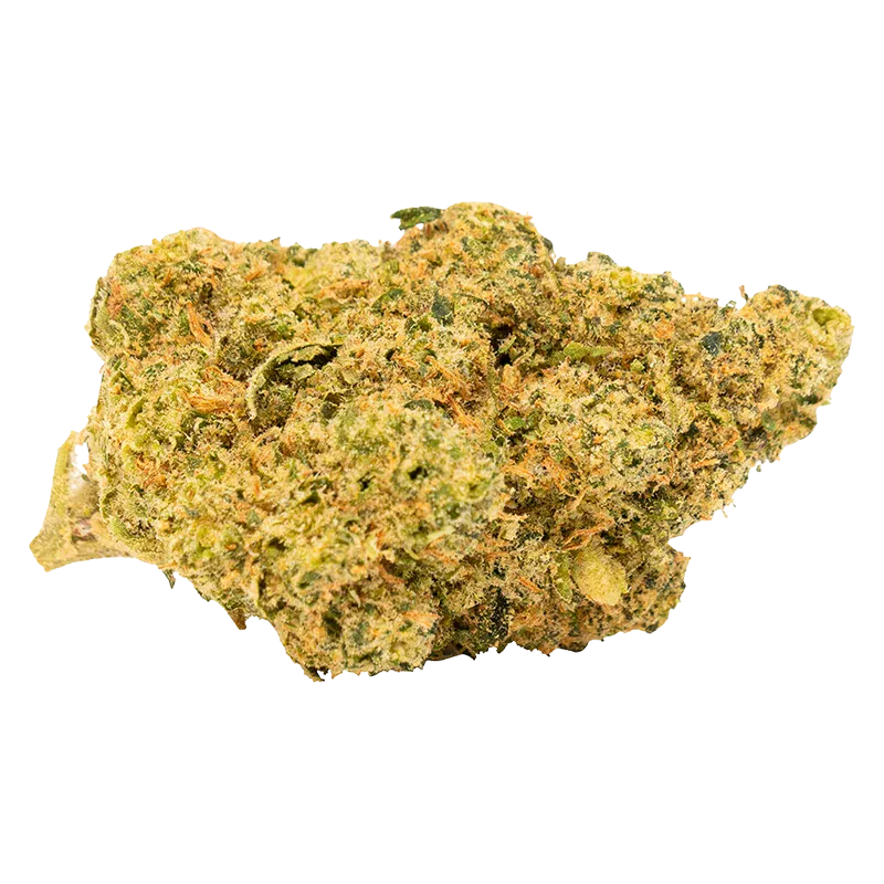 Close-up, angled view of a frosty green nugget of Tropical Gelato Slushie showing orange hairs and dense trichome coverage.