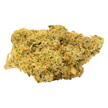 Close-up, angled view of a frosty green nugget of Tropical Gelato Slushie showing orange hairs and dense trichome coverage.
