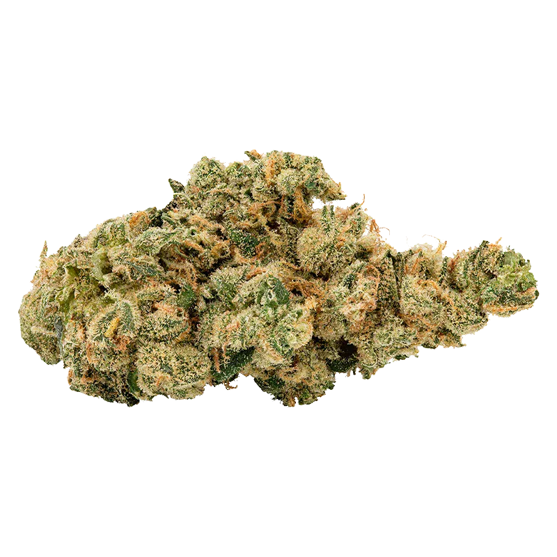 Close-up of an Ultra Sour bud showing dense, frosty green and orange trichome-covered florets against a clean white background
