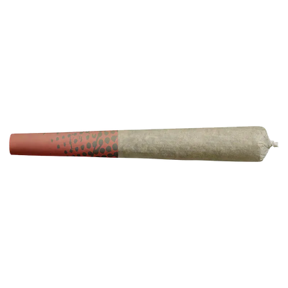 Side view of a rolled joint with a red patterned filter labeled Blueberry Dream PR 10 x 0.5 g, shown on a white background.