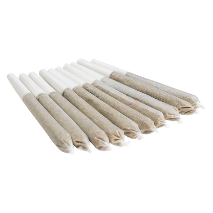 Angled close-up of a neat row of pre-rolled joints showing paper tips and twisted ends, labeled Chopper's Pick PR 10 x 0.5 g.