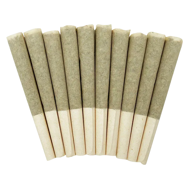 Top-down view of twelve evenly spaced Storm Indica PR 10 x 0.5 g pre-rolls fanned on a white background.
