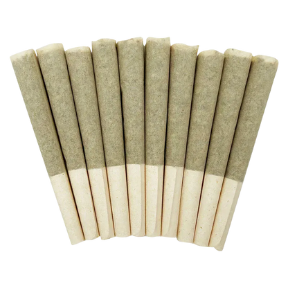 Top-down view of twelve evenly spaced Storm Indica PR 10 x 0.5 g pre-rolls fanned on a white background.