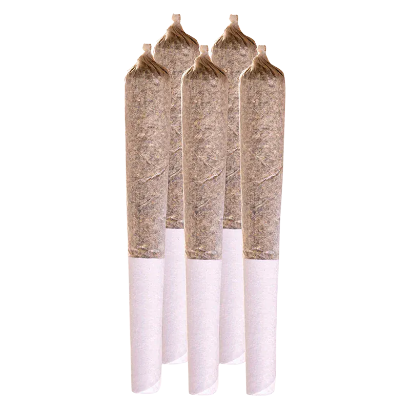 Station House 2.5 g Star PR 5 x 0.5 g Pre-Rolls
