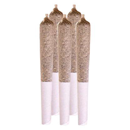 Station House 2.5 g Star PR 5 x 0.5 g Pre-Rolls