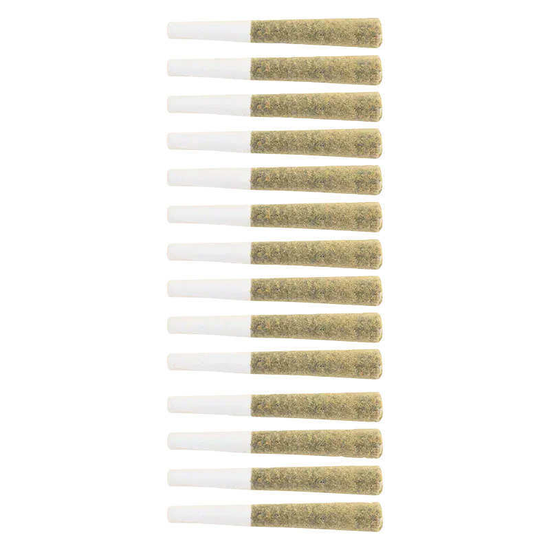 Top-down view of 14 evenly spaced Platinum Punch PR 14 x 0.5 g pre-rolls with visible white tips and greenish packed ends on a white background