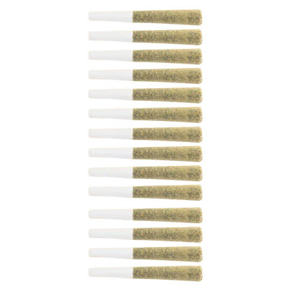Top-down view of 14 evenly spaced Platinum Punch PR 14 x 0.5 g pre-rolls with visible white tips and greenish packed ends on a white background