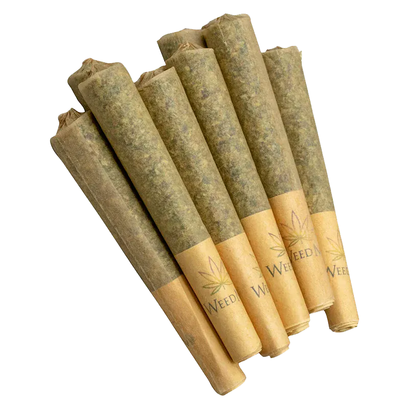 Angled close-up of six prerolled cones of Pink Kush PR 10 x 0.5 g fanned on a white background showing brown paper tips and greenish herb-filled rolls.