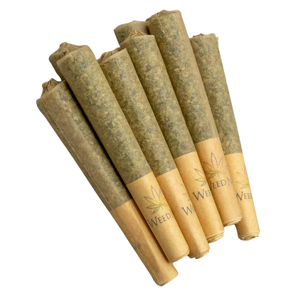 Angled close-up of six prerolled cones of Pink Kush PR 10 x 0.5 g fanned on a white background showing brown paper tips and greenish herb-filled rolls.