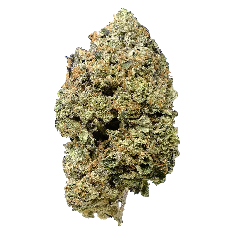 Close-up front view of a single dense bud labeled Pink Goo, showing frosty trichomes, orange pistils, and light green leaves against a white background.