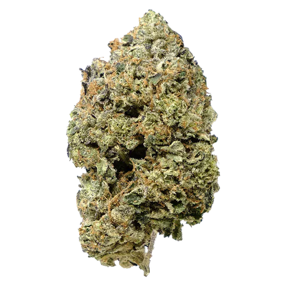 Close-up front view of a single dense bud labeled Pink Goo, showing frosty trichomes, orange pistils, and light green leaves against a white background.