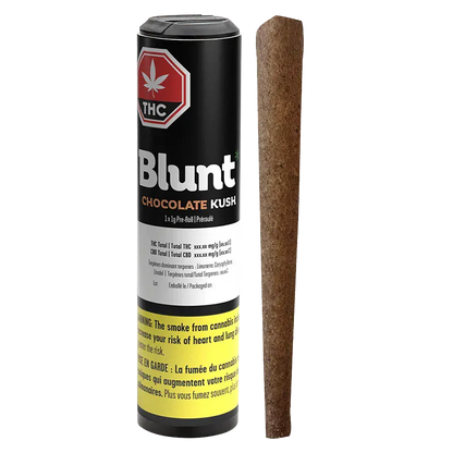 Front-facing shot of the Blunt Chocolate Kush PR 1 x 1 g black tube with label details visible beside a standing brown pre-rolled blunt.