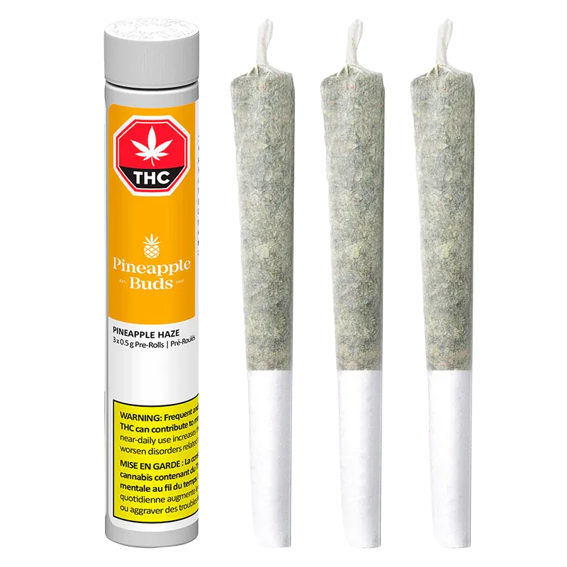 Three pre-rolled joints standing upright beside a yellow-labeled tube of Pineapple Haze PR 3 x 0.5 g, shown on a white background.