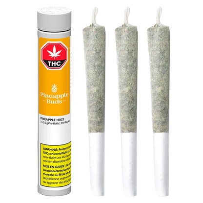 Three pre-rolled joints standing upright beside a yellow-labeled tube of Pineapple Haze PR 3 x 0.5 g, shown on a white background.