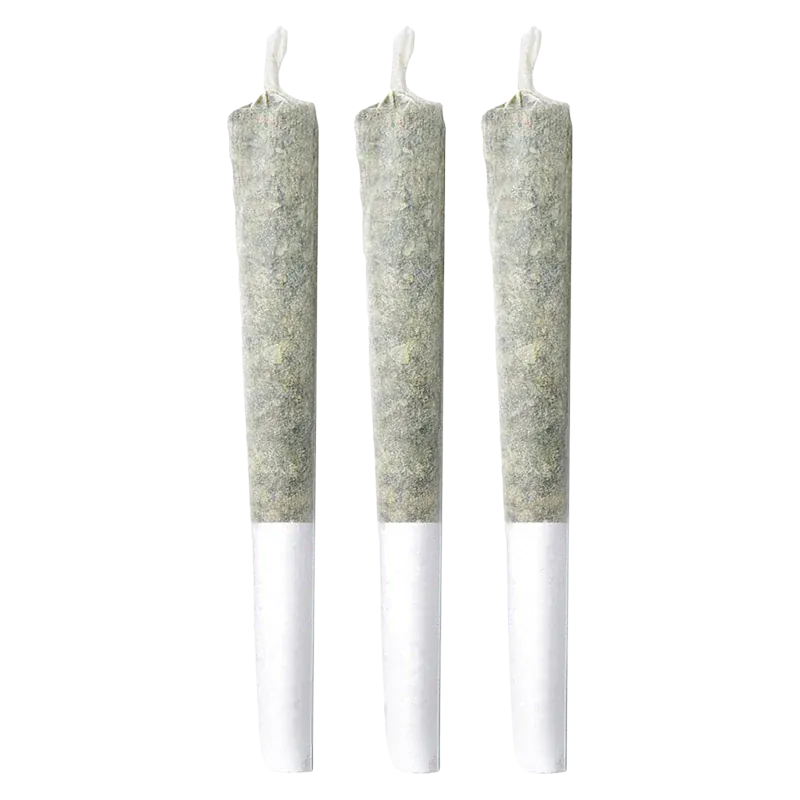 Three upright Pineapple Haze PR 3 x 0.5 g pre-rolls against a white background, evenly spaced and front-facing.