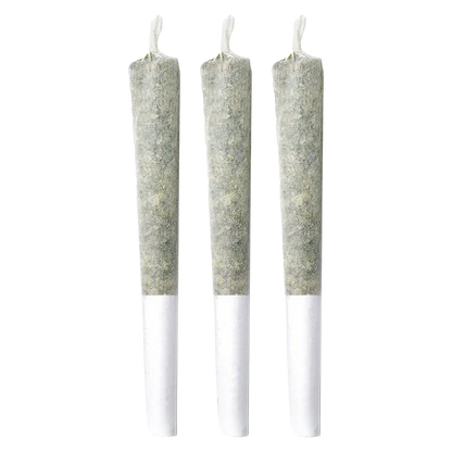 Three upright Pineapple Haze PR 3 x 0.5 g pre-rolls against a white background, evenly spaced and front-facing.