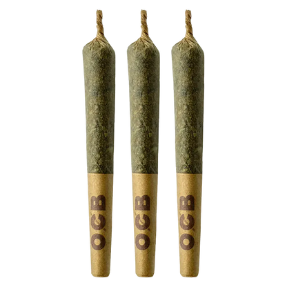 Three upright Grape Gotti PR 3 x 0.5 g pre-rolls with twisted tips and brown branded filter tips shown against a white background
