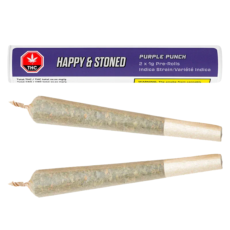 Two pre-rolled joints shown side-by-side below a purple-labeled tube reading "Purple Punch PR 2 x 1 g".