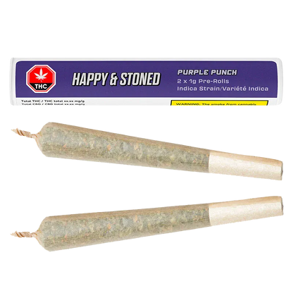 Two pre-rolled joints shown side-by-side below a purple-labeled tube reading "Purple Punch PR 2 x 1 g".