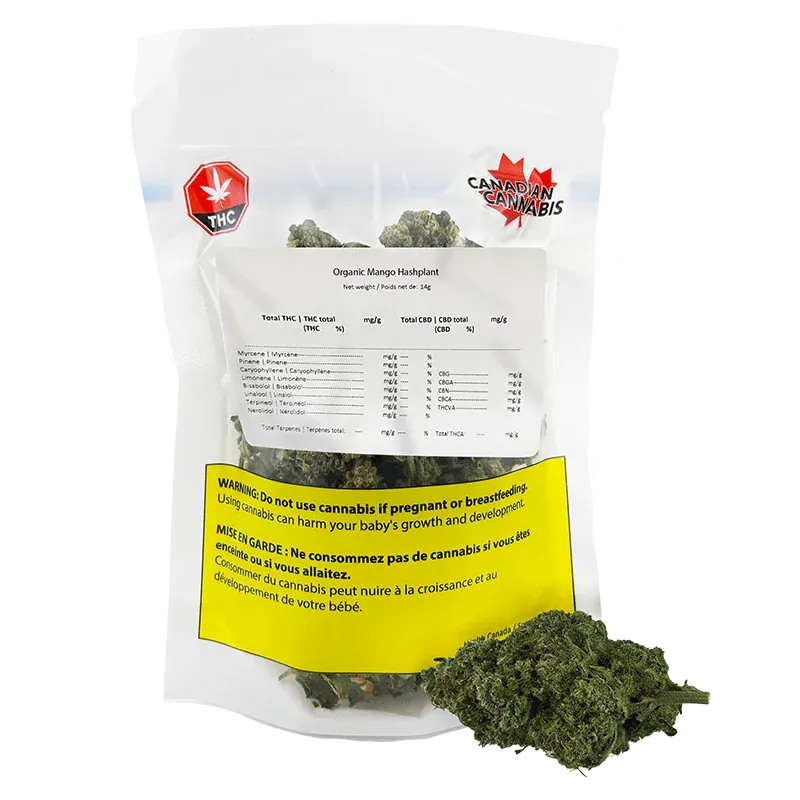 Front-facing shot of the Organic Mango Hashplant clear pouch with visible buds behind a white label and a yellow warning panel.